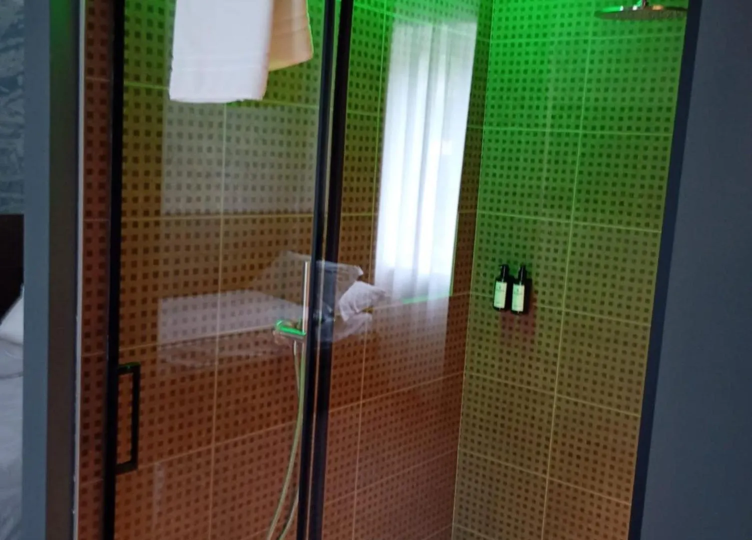 Wega Hotel Verona